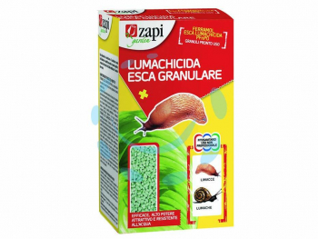 17089190528872-escalumachicidagranularegr200