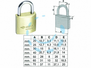 17344937748163-lucchettolockinglinearconormale20010mm20art20010200